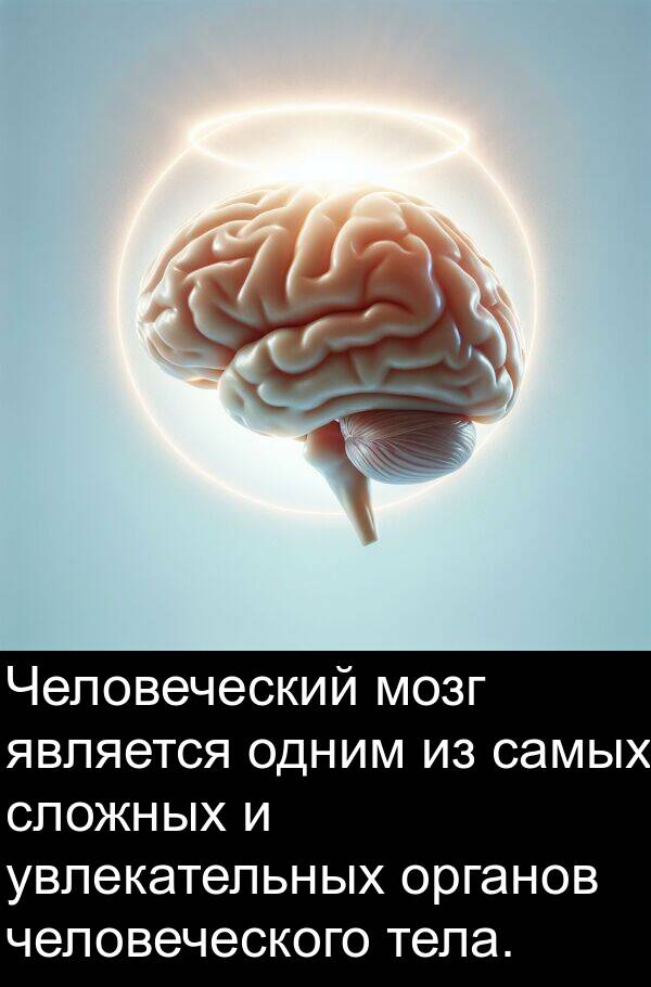 самых: Человеческий мозг является одним из самых сложных и увлекательных органов человеческого тела.