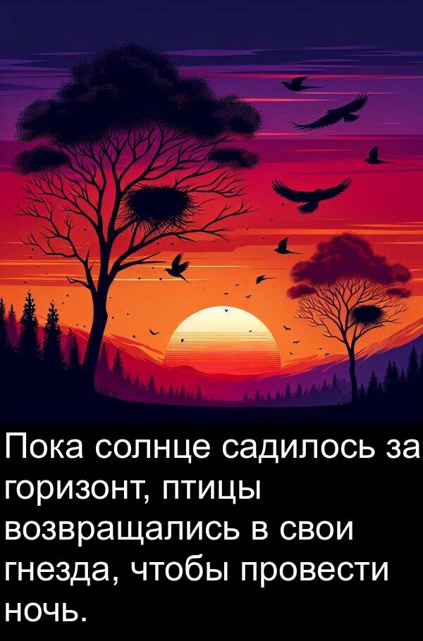 свои: Пока солнце садилось за горизонт, птицы возвращались в свои гнезда, чтобы провести ночь.
