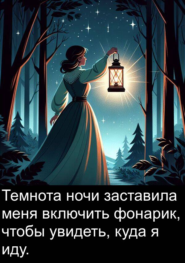иду: Темнота ночи заставила меня включить фонарик, чтобы увидеть, куда я иду.