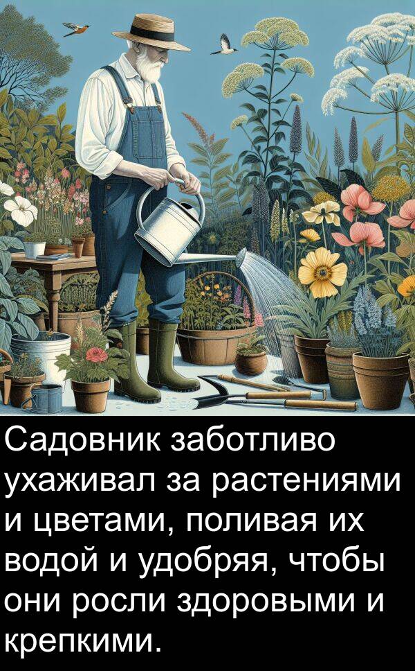 цветами: Садовник заботливо ухаживал за растениями и цветами, поливая их водой и удобряя, чтобы они росли здоровыми и крепкими.