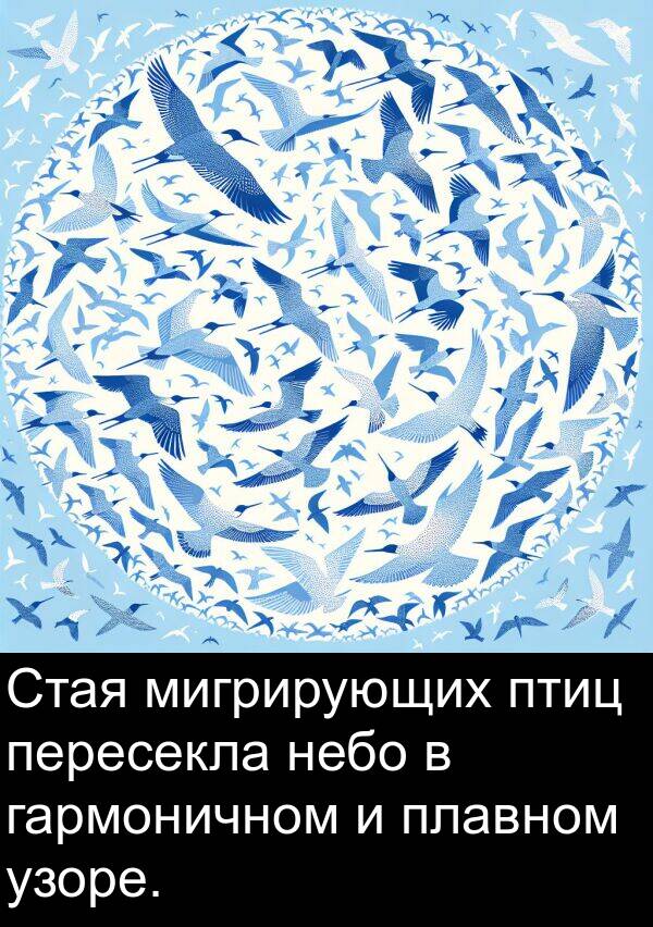 птиц: Стая мигрирующих птиц пересекла небо в гармоничном и плавном узоре.