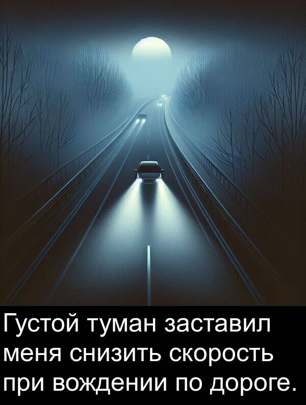 туман: Густой туман заставил меня снизить скорость при вождении по дороге.