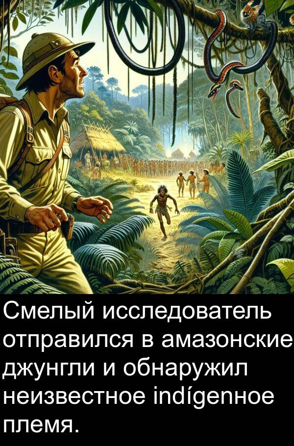 племя: Смелый исследователь отправился в амазонские джунгли и обнаружил неизвестное indígenное племя.