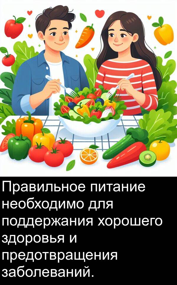 заболеваний: Правильное питание необходимо для поддержания хорошего здоровья и предотвращения заболеваний.