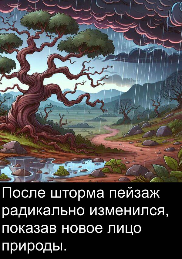 пейзаж: После шторма пейзаж радикально изменился, показав новое лицо природы.