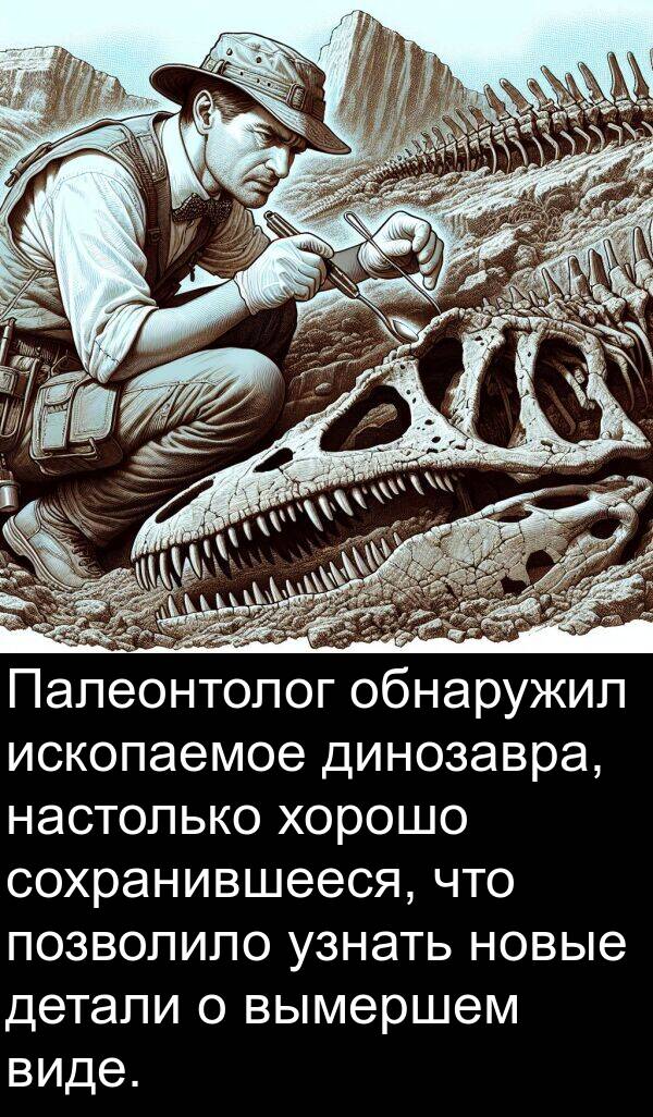 настолько: Палеонтолог обнаружил ископаемое динозавра, настолько хорошо сохранившееся, что позволило узнать новые детали о вымершем виде.