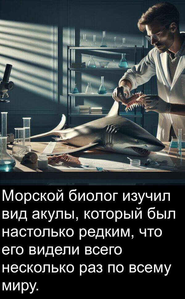 изучил: Морской биолог изучил вид акулы, который был настолько редким, что его видели всего несколько раз по всему миру.