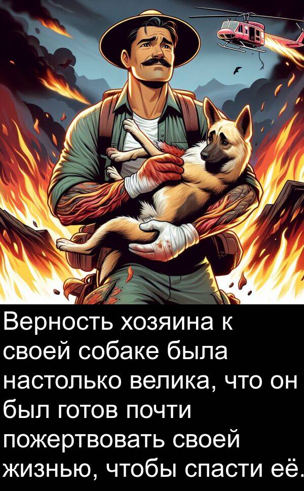 хозяина: Верность хозяина к своей собаке была настолько велика, что он был готов почти пожертвовать своей жизнью, чтобы спасти её.