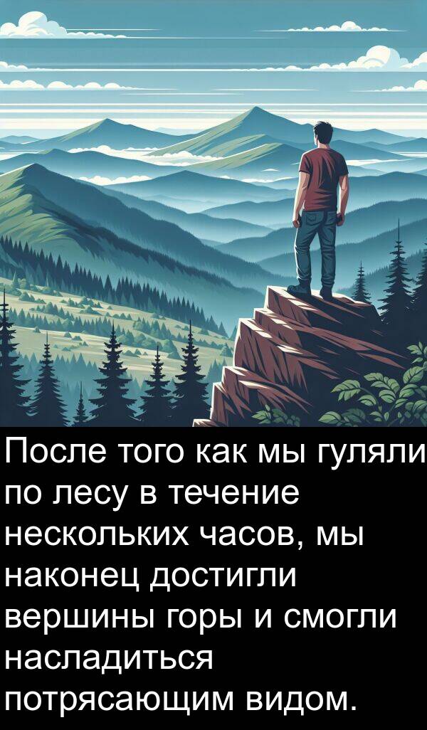 лесу: После того как мы гуляли по лесу в течение нескольких часов, мы наконец достигли вершины горы и смогли насладиться потрясающим видом.