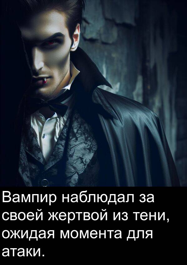 наблюдал: Вампир наблюдал за своей жертвой из тени, ожидая момента для атаки.
