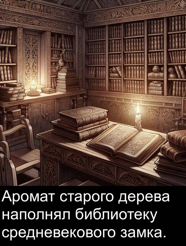 библиотеку: Аромат старого дерева наполнял библиотеку средневекового замка.