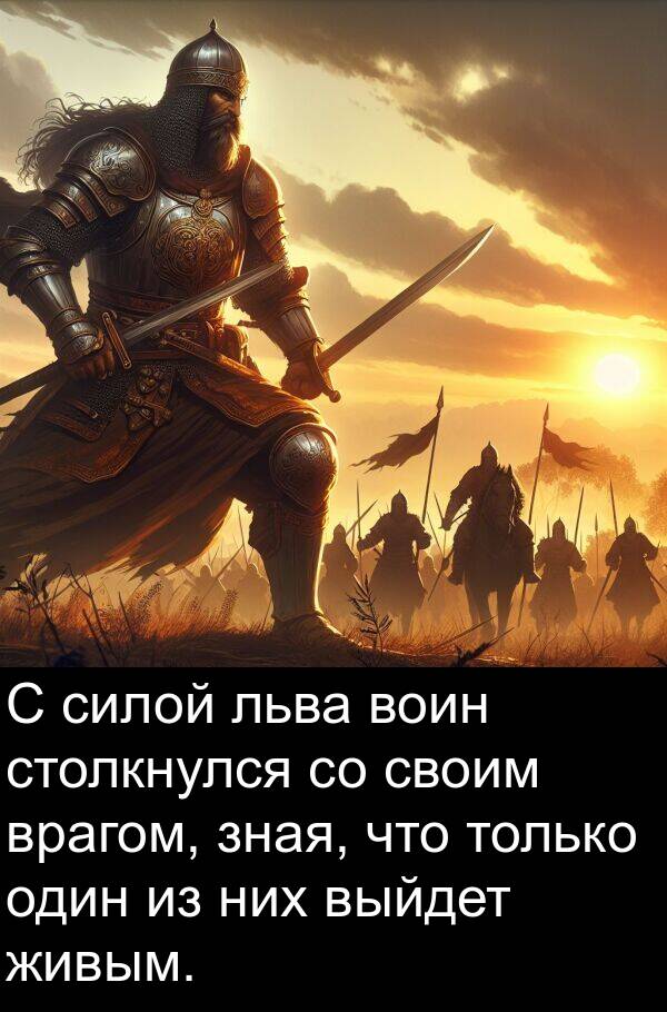 своим: С силой льва воин столкнулся со своим врагом, зная, что только один из них выйдет живым.