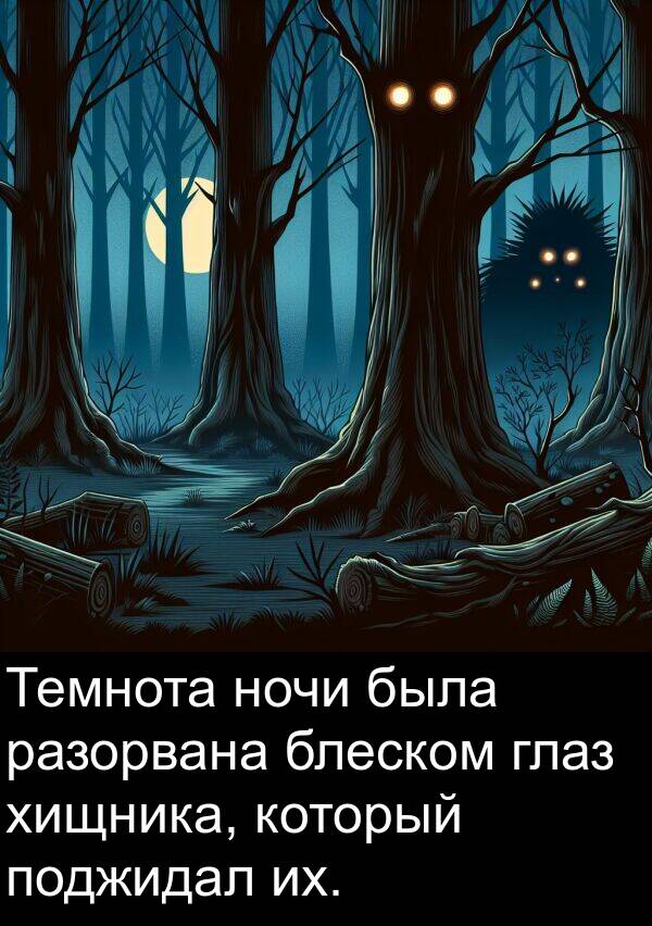 глаз: Темнота ночи была разорвана блеском глаз хищника, который поджидал их.
