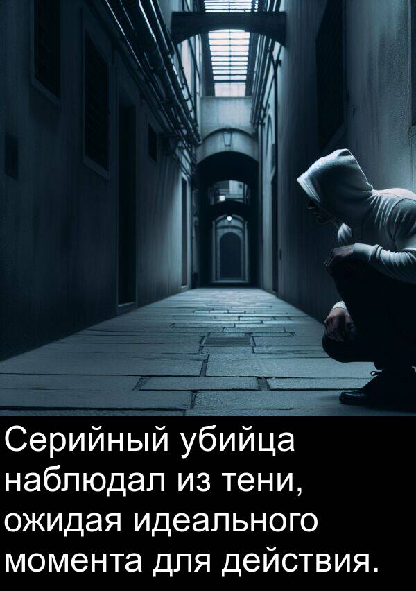 наблюдал: Серийный убийца наблюдал из тени, ожидая идеального момента для действия.