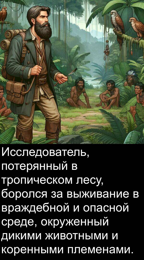 тропическом: Исследователь, потерянный в тропическом лесу, боролся за выживание в враждебной и опасной среде, окруженный дикими животными и коренными племенами.