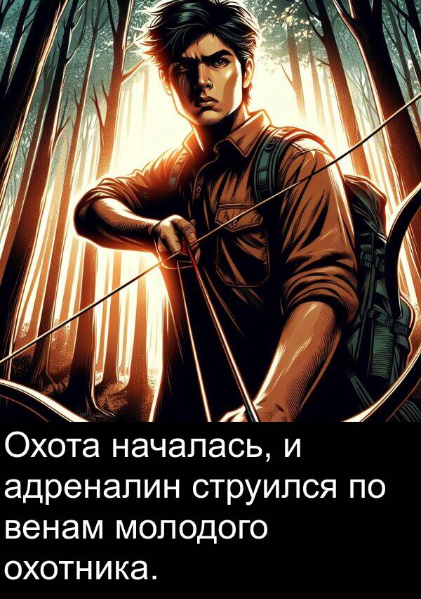 адреналин: Охота началась, и адреналин струился по венам молодого охотника.