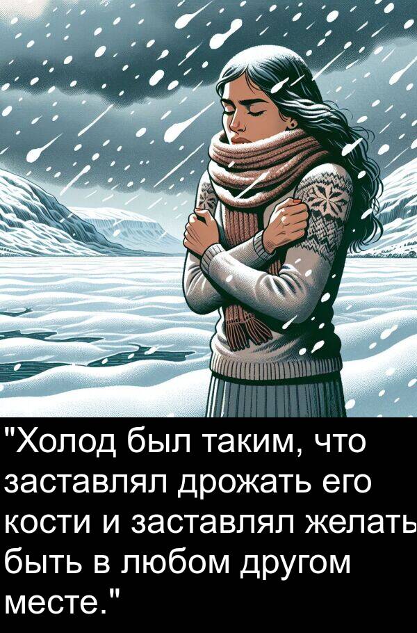 таким: "Холод был таким, что заставлял дрожать его кости и заставлял желать быть в любом другом месте."