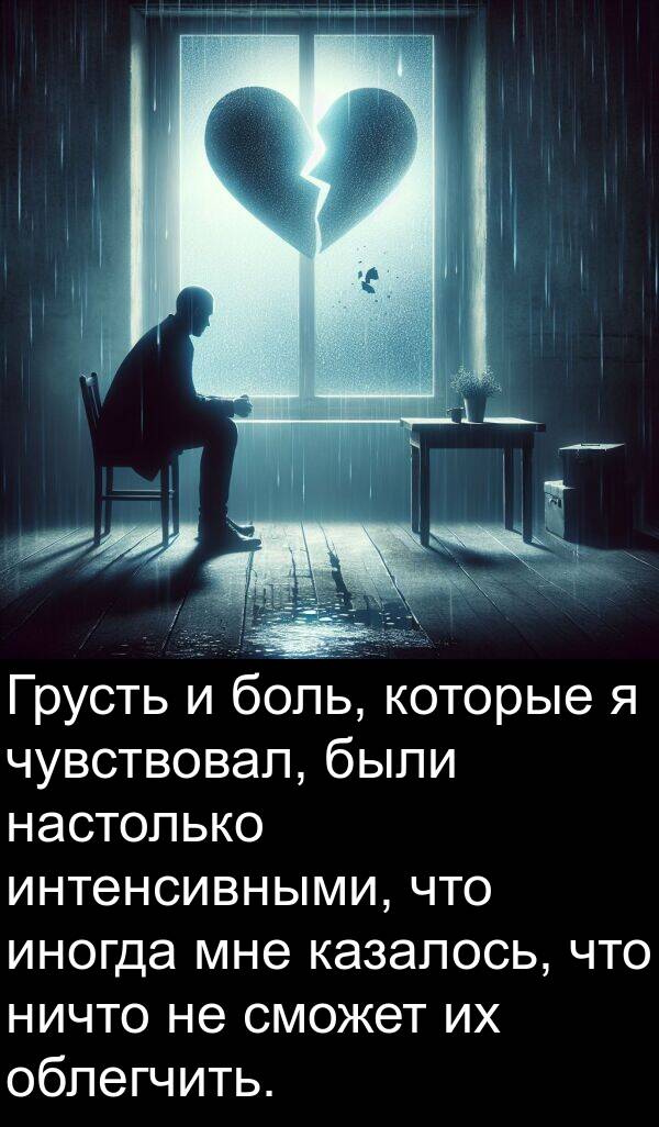 казалось: Грусть и боль, которые я чувствовал, были настолько интенсивными, что иногда мне казалось, что ничто не сможет их облегчить.