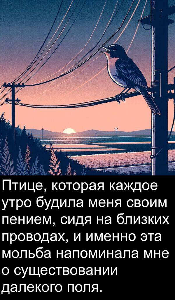 каждое: Птице, которая каждое утро будила меня своим пением, сидя на близких проводах, и именно эта мольба напоминала мне о существовании далекого поля.