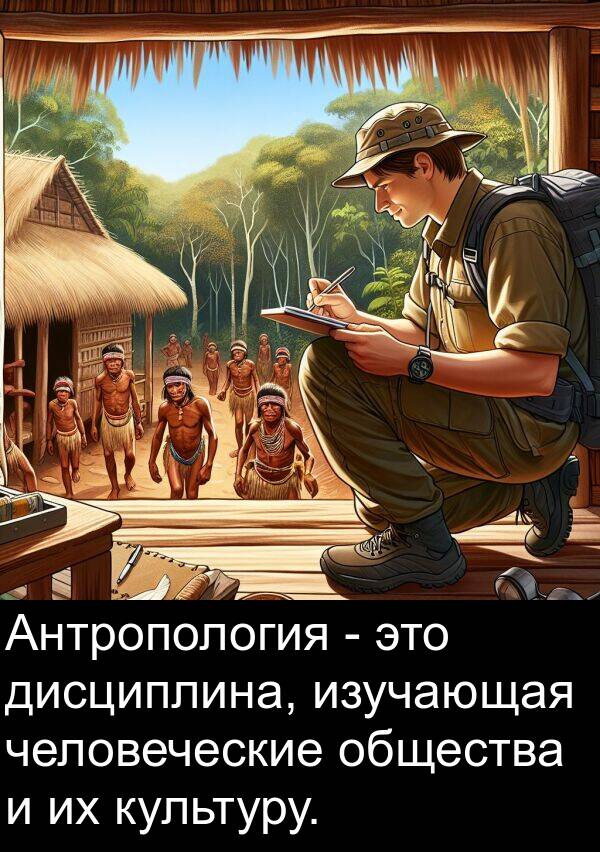 человеческие: Антропология - это дисциплина, изучающая человеческие общества и их культуру.