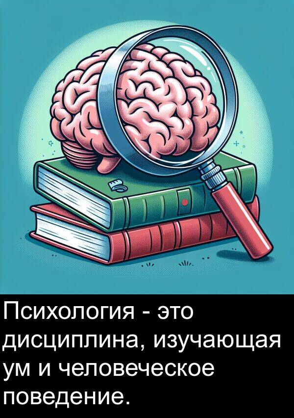 человеческое: Психология - это дисциплина, изучающая ум и человеческое поведение.