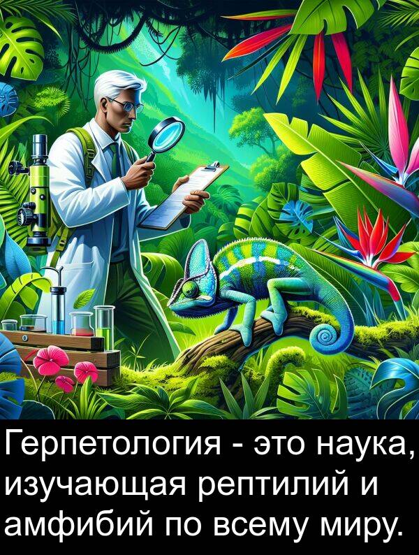 всему: Герпетология - это наука, изучающая рептилий и амфибий по всему миру.