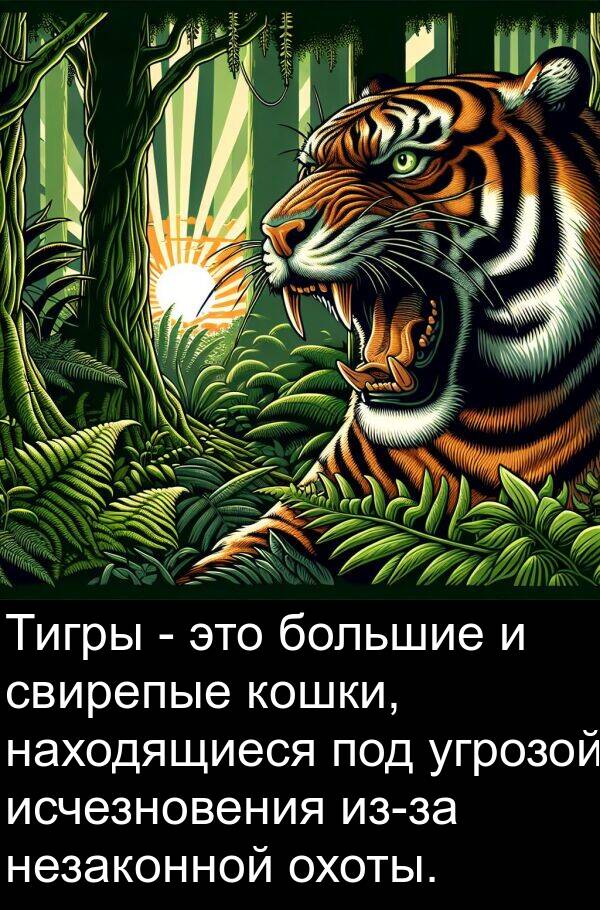 угрозой: Тигры - это большие и свирепые кошки, находящиеся под угрозой исчезновения из-за незаконной охоты.