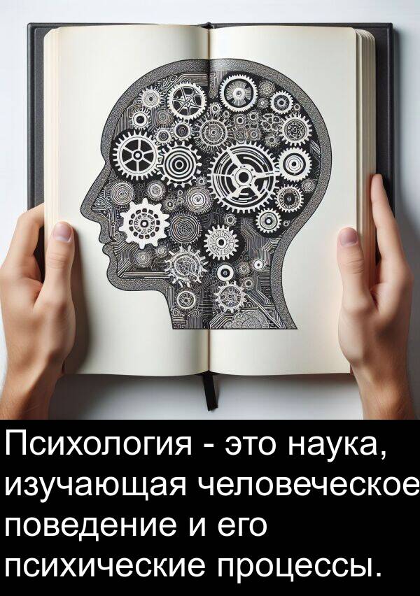 человеческое: Психология - это наука, изучающая человеческое поведение и его психические процессы.