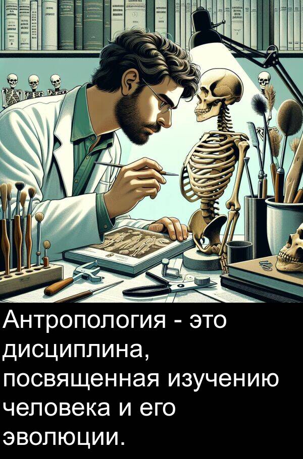 человека: Антропология - это дисциплина, посвященная изучению человека и его эволюции.