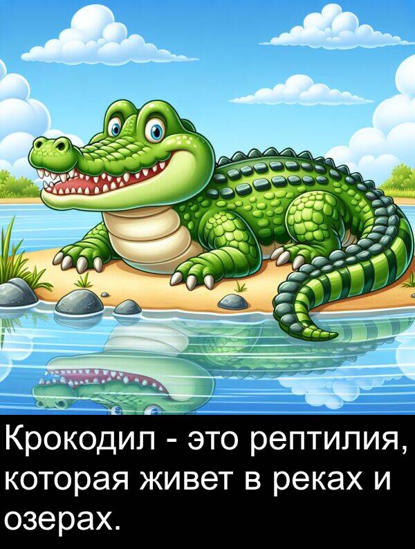 живет: Крокодил - это рептилия, которая живет в реках и озерах.