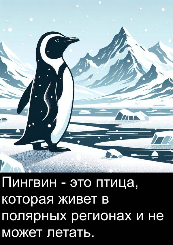 летать: Пингвин - это птица, которая живет в полярных регионах и не может летать.