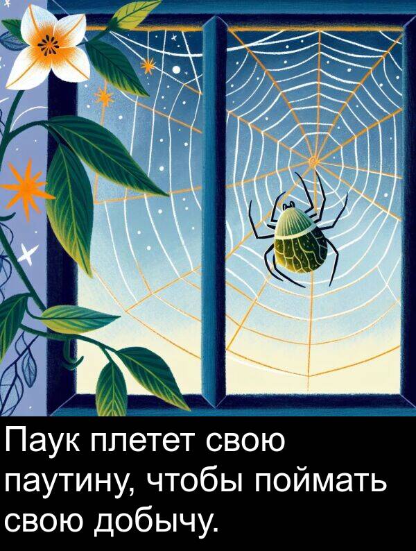 паутину: Паук плетет свою паутину, чтобы поймать свою добычу.