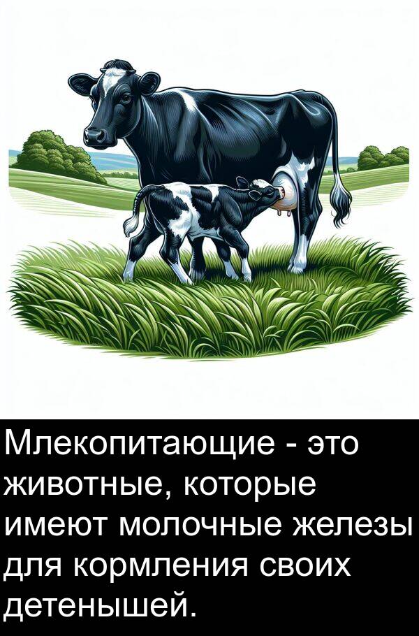 имеют: Млекопитающие - это животные, которые имеют молочные железы для кормления своих детенышей.