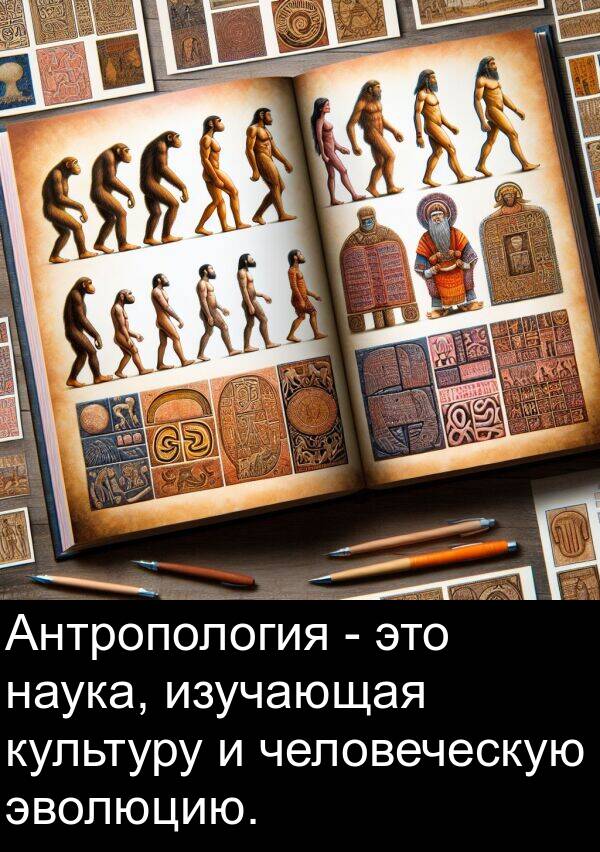 человеческую: Антропология - это наука, изучающая культуру и человеческую эволюцию.