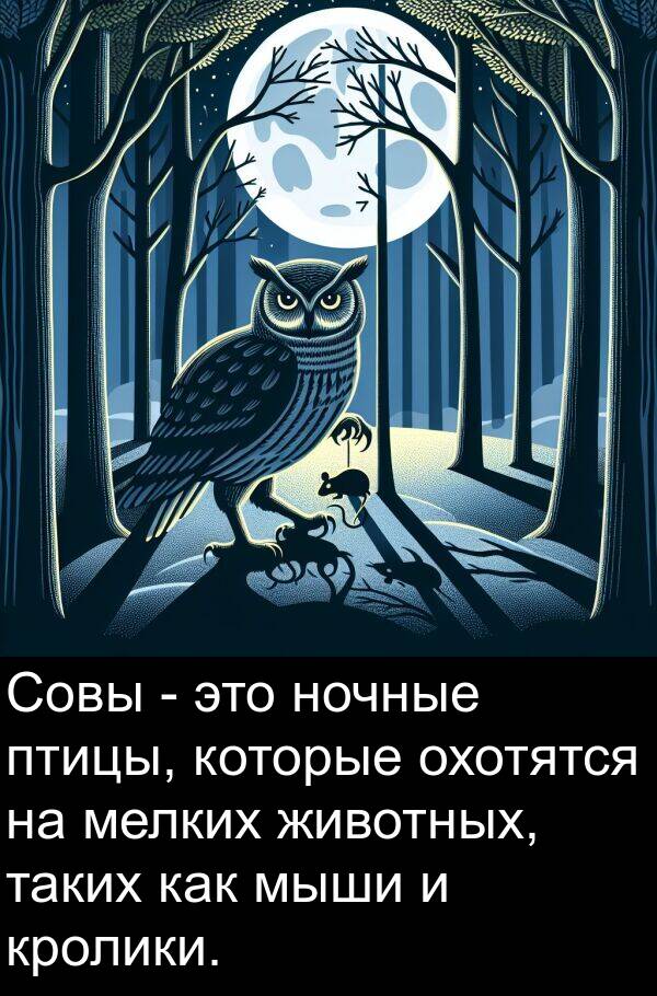 мелких: Совы - это ночные птицы, которые охотятся на мелких животных, таких как мыши и кролики.