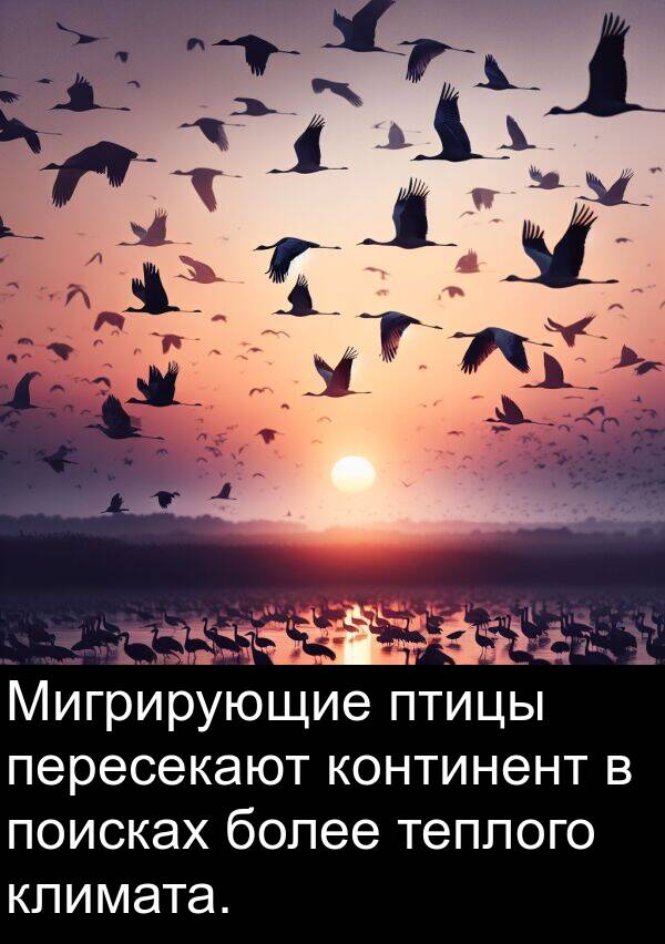 климата: Мигрирующие птицы пересекают континент в поисках более теплого климата.