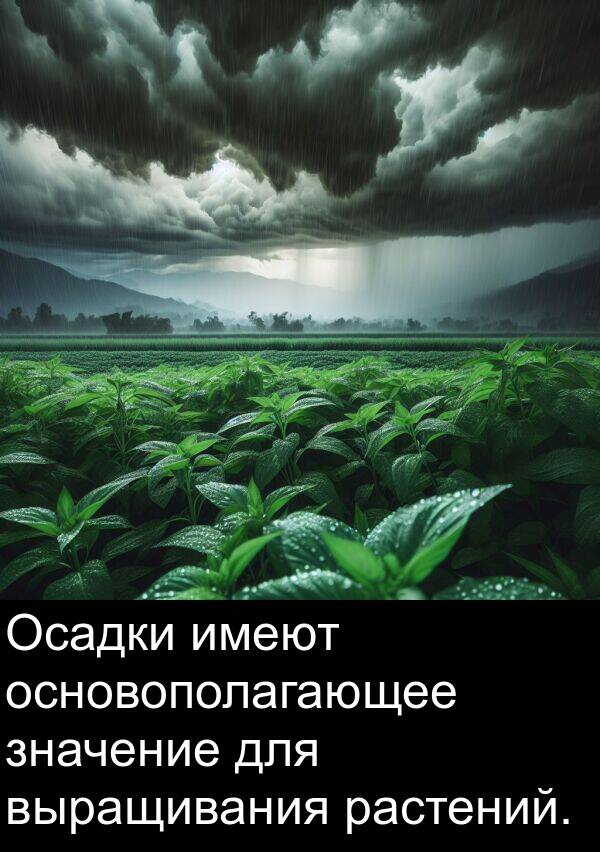 имеют: Осадки имеют основополагающее значение для выращивания растений.