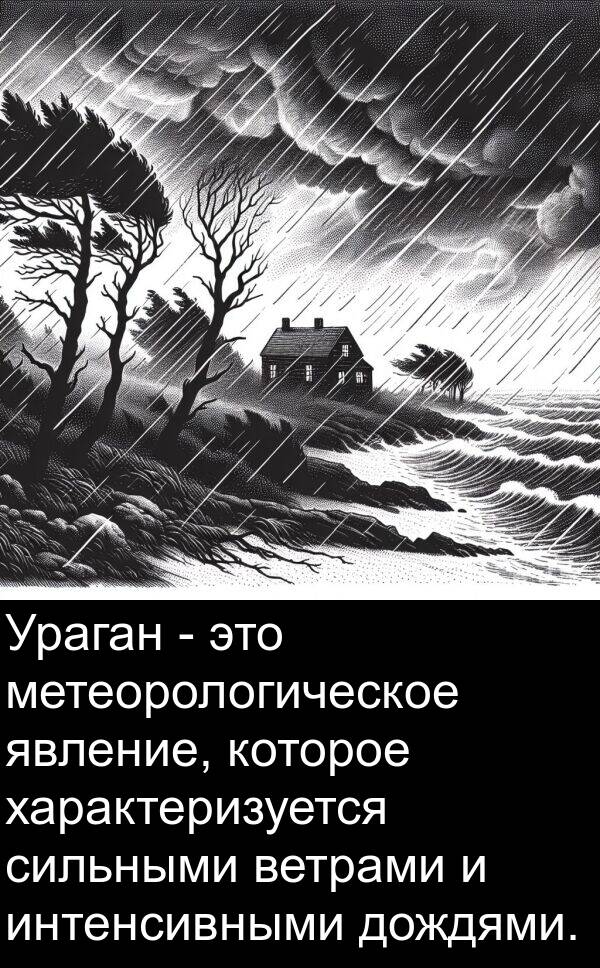 характеризуется: Ураган - это метеорологическое явление, которое характеризуется сильными ветрами и интенсивными дождями.