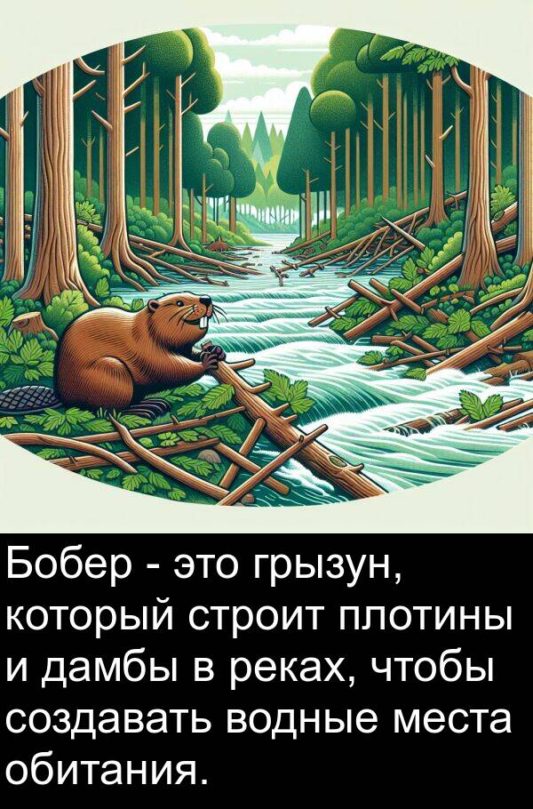 водные: Бобер - это грызун, который строит плотины и дамбы в реках, чтобы создавать водные места обитания.