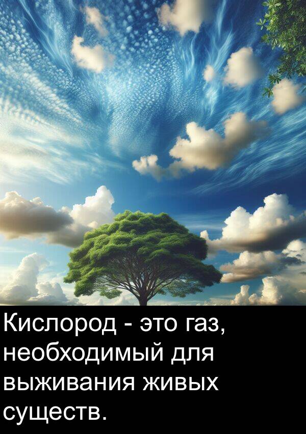 газ: Кислород - это газ, необходимый для выживания живых существ.