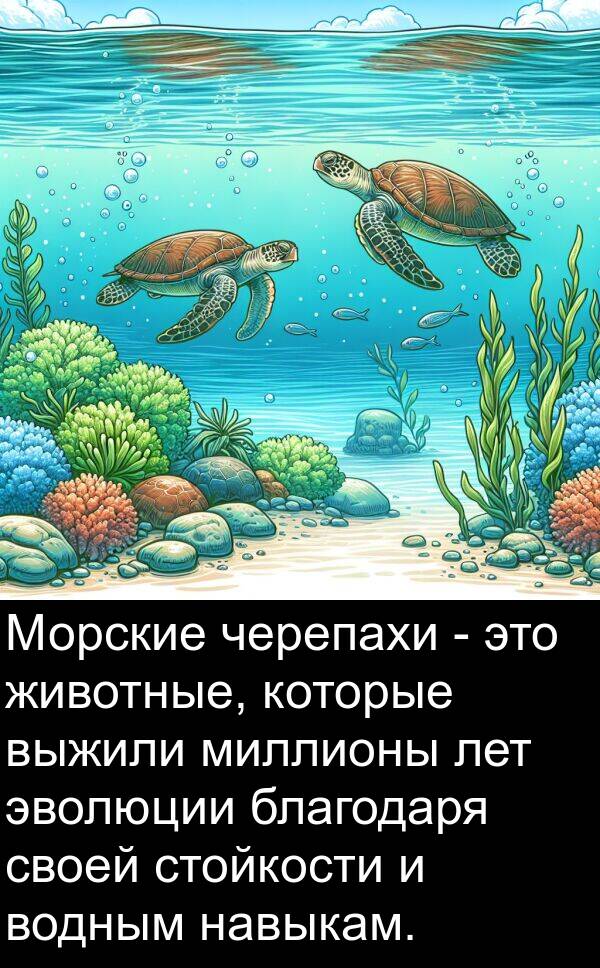 стойкости: Морские черепахи - это животные, которые выжили миллионы лет эволюции благодаря своей стойкости и водным навыкам.