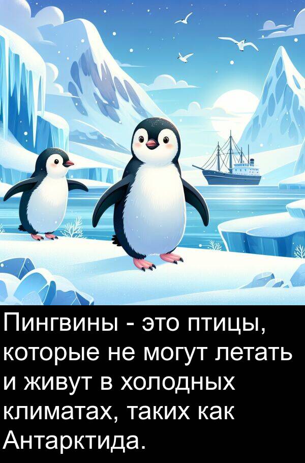 холодных: Пингвины - это птицы, которые не могут летать и живут в холодных климатах, таких как Антарктида.