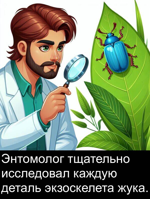 тщательно: Энтомолог тщательно исследовал каждую деталь экзоскелета жука.