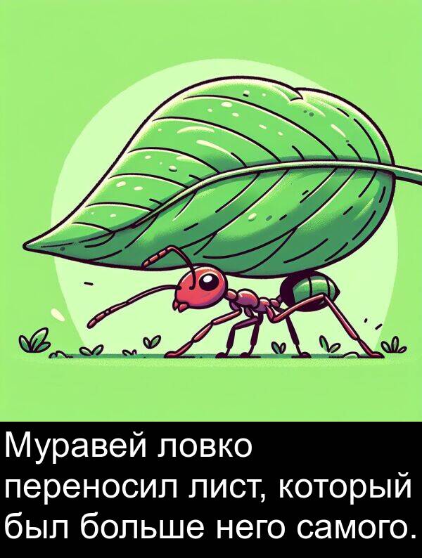 ловко: Муравей ловко переносил лист, который был больше него самого.