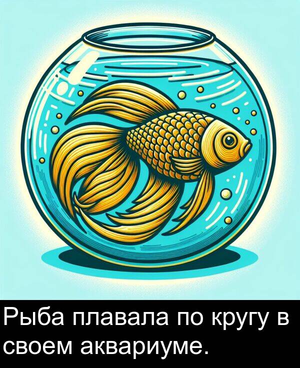 аквариуме: Рыба плавала по кругу в своем аквариуме.
