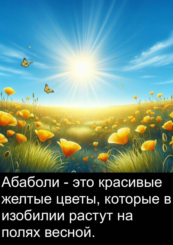 весной: Абаболи - это красивые желтые цветы, которые в изобилии растут на полях весной.