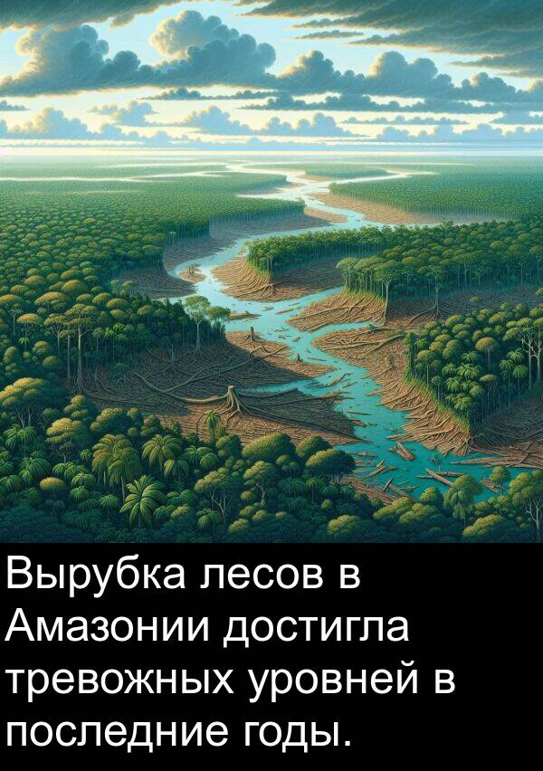 лесов: Вырубка лесов в Амазонии достигла тревожных уровней в последние годы.