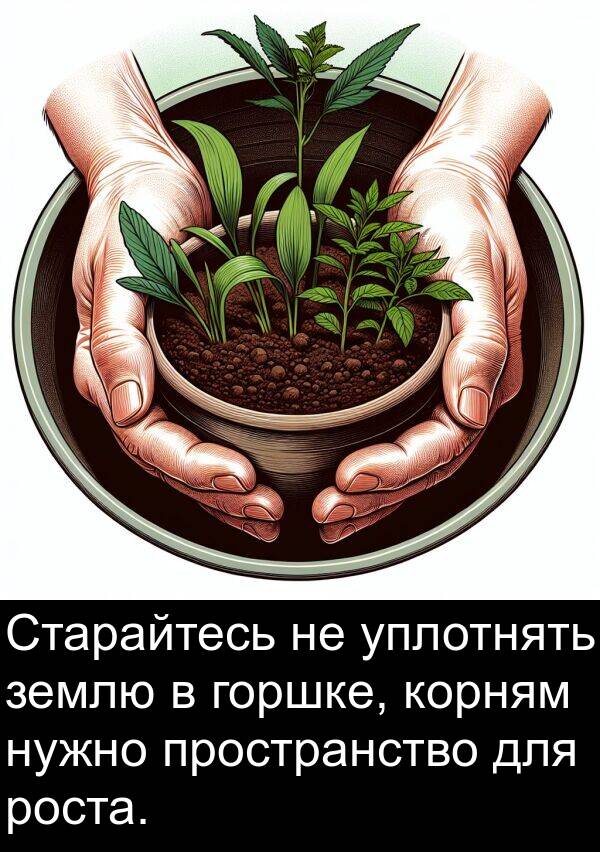 землю: Старайтесь не уплотнять землю в горшке, корням нужно пространство для роста.