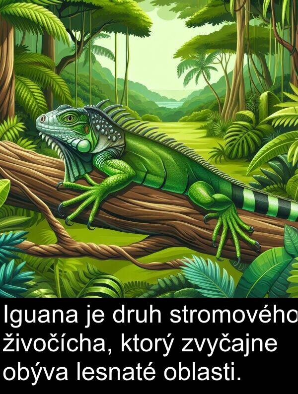 oblasti: Iguana je druh stromového živočícha, ktorý zvyčajne obýva lesnaté oblasti.