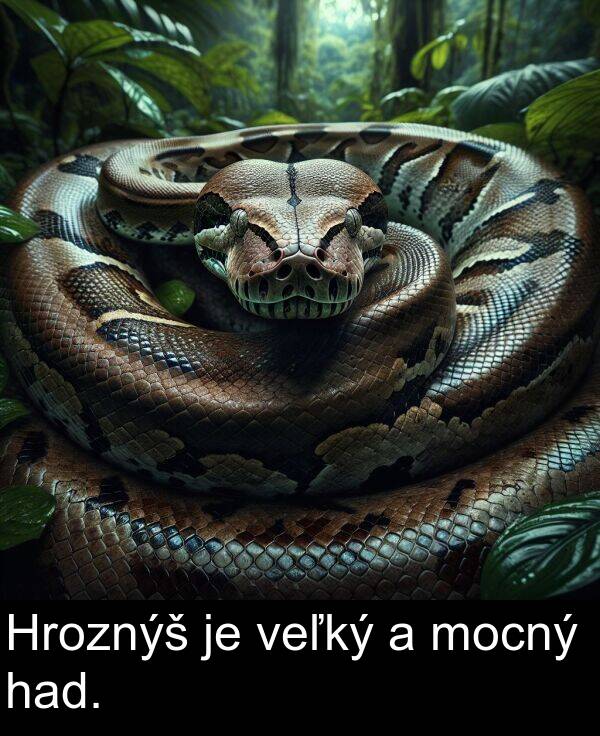 had: Hroznýš je veľký a mocný had.